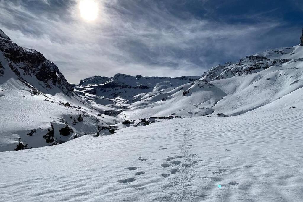 Studio Cabine Piau-Engaly Au Pied Des Pistes أراغنويت المظهر الخارجي الصورة